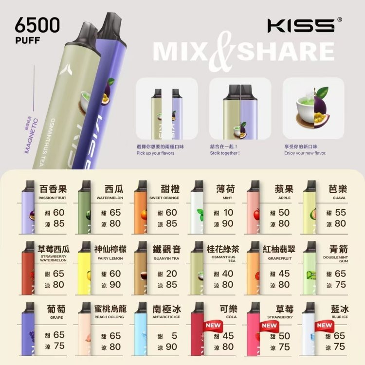 Kiss拋棄式電子煙6500口 凱斯KISS一次性6500口